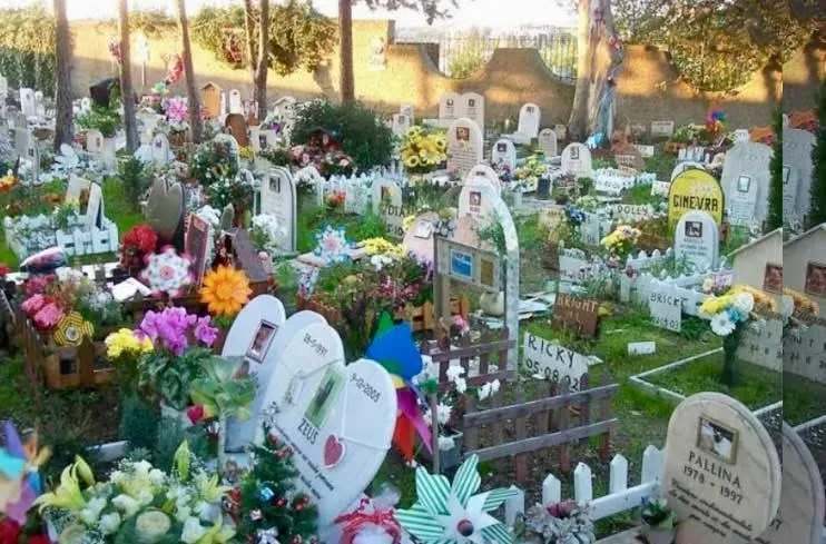 Commemorazione degli animali defunti 