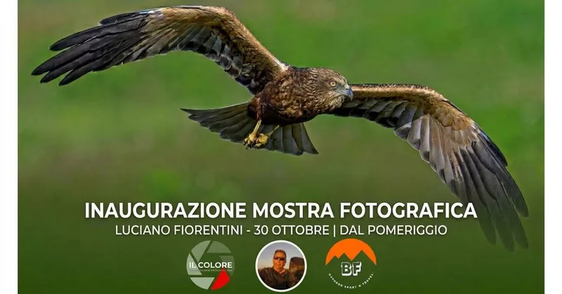 📸 Inaugurazione Mostra Fotografica in Negozio – 30 Ottobre 🦅