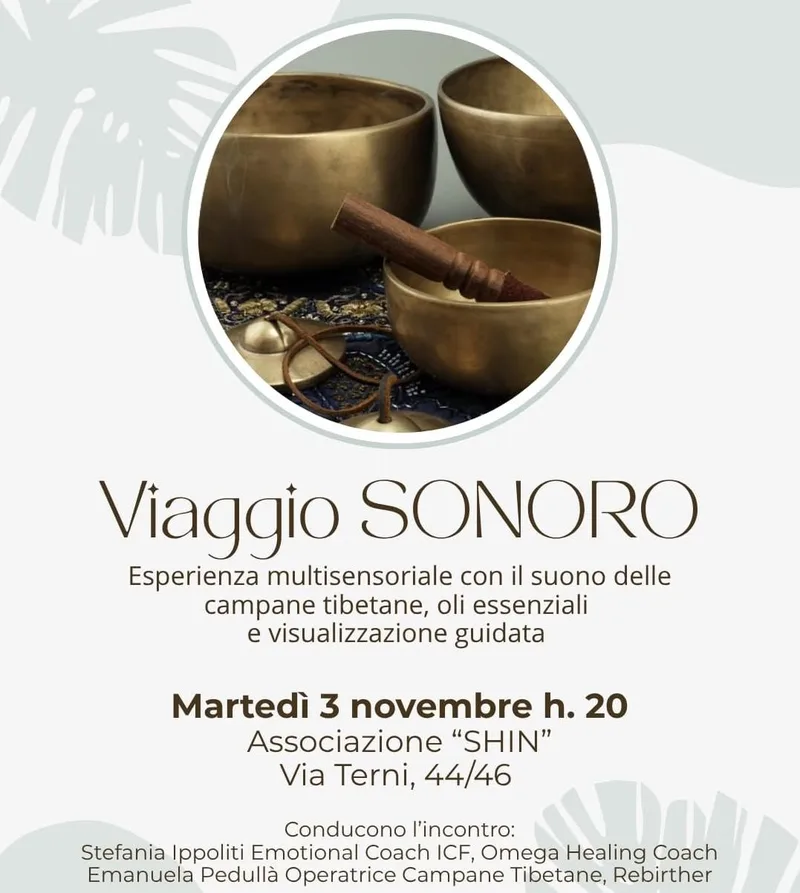Viaggio Sonoro