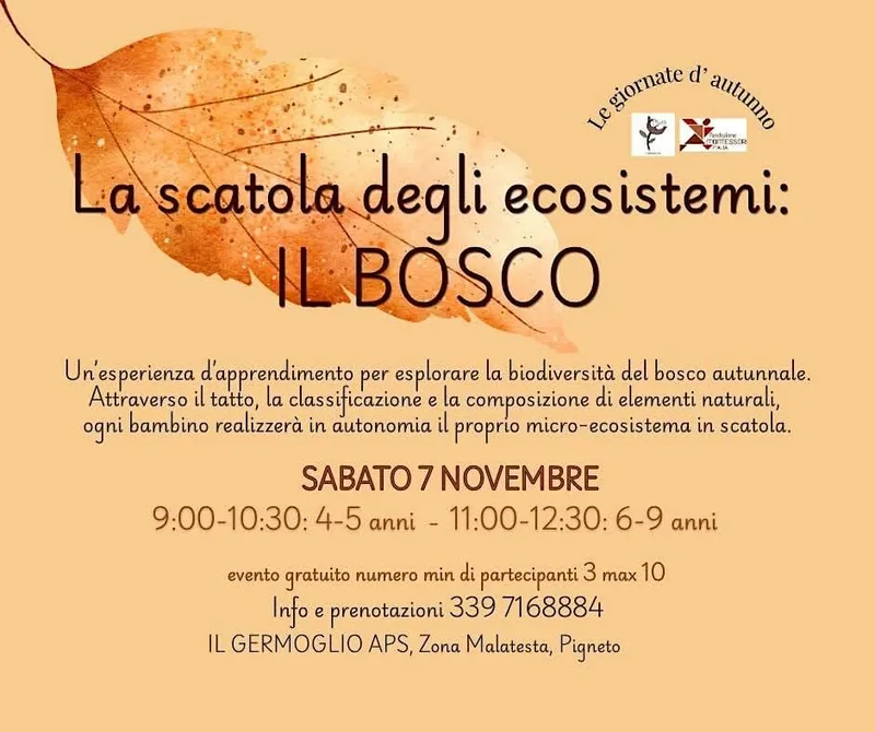La scatola degli ecosistemi: il bosco (6-9 anni)