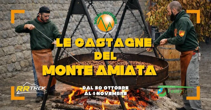LE CASTAGNE DEL MONTE AMIATA