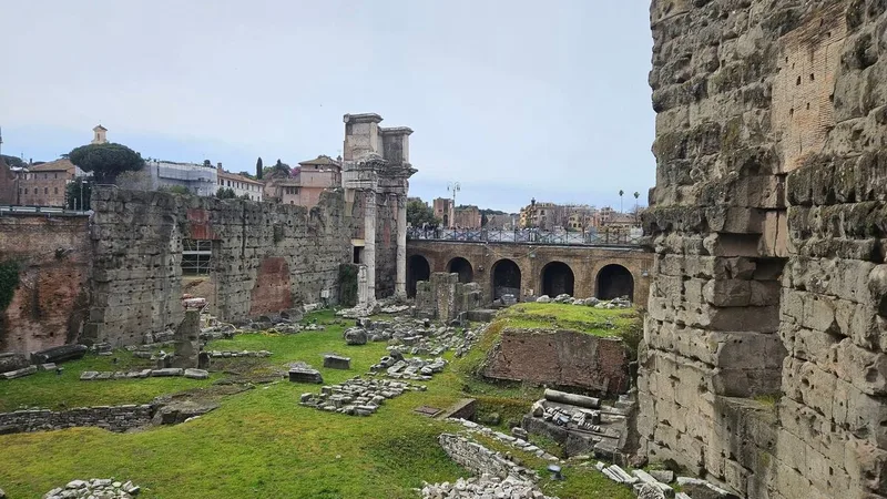 Juttutupa Goes Parco Archeologico - Foro Romano
