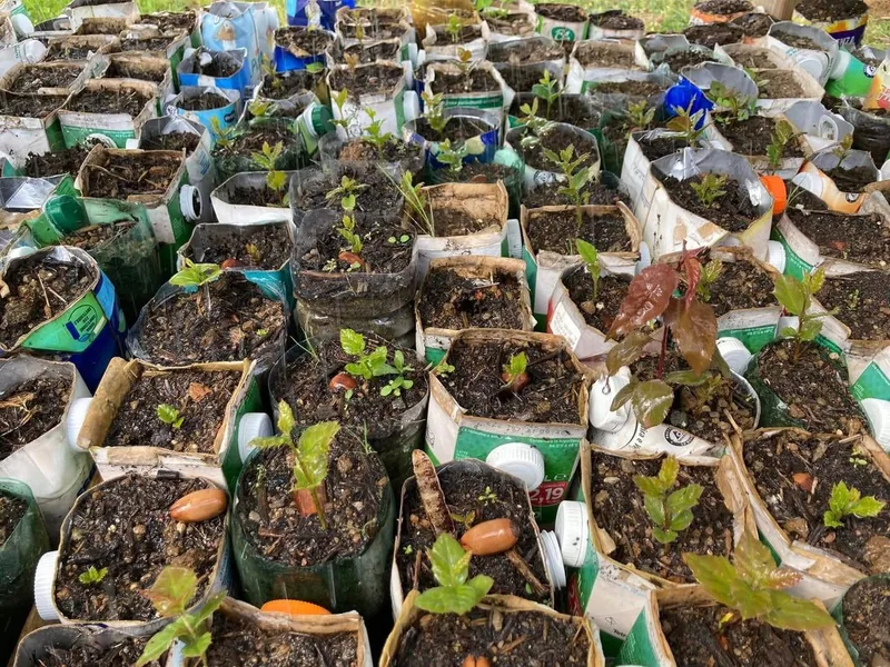 Curiamo insieme il vivaio forestale la "Fabbrica dell'Ossigeno"