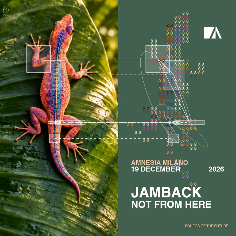 Jamback, Not From Here