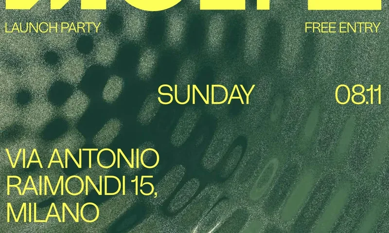 MOLTO Launch Party