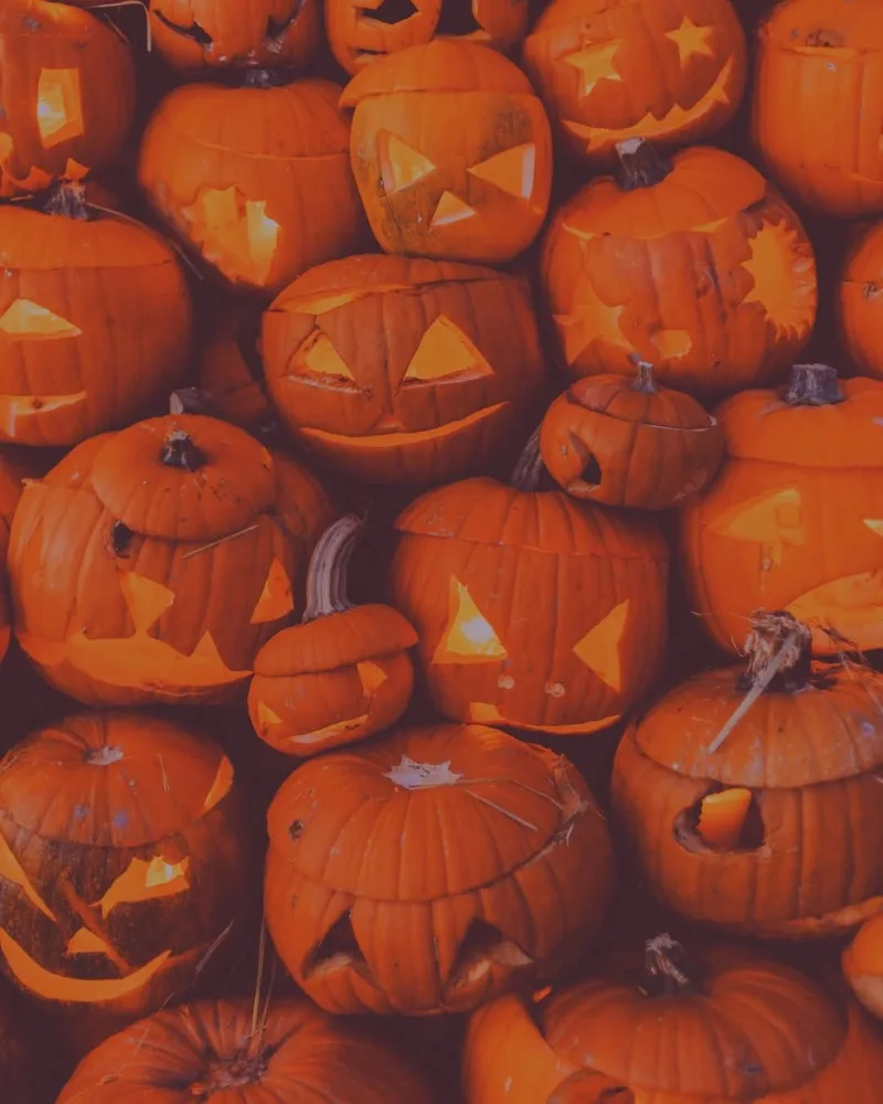 🎃 🎃 TWINS17 🎃 🎃 