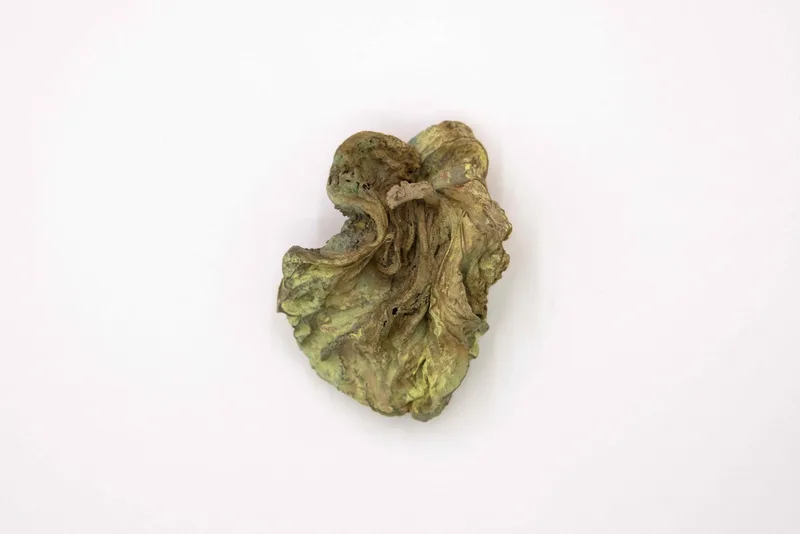 Ella Littwitz - "Salt"