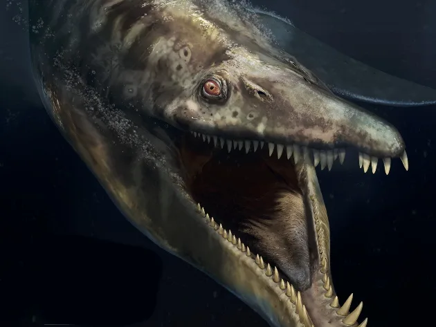 PaleoAquarium - Il Mare al Tempo dei Dinosauri