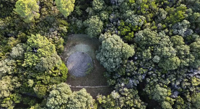 Tra Giardino e Paesaggio, allo Spazio Leonardo la mostra di Anna Scaravella e Matteo Carassale