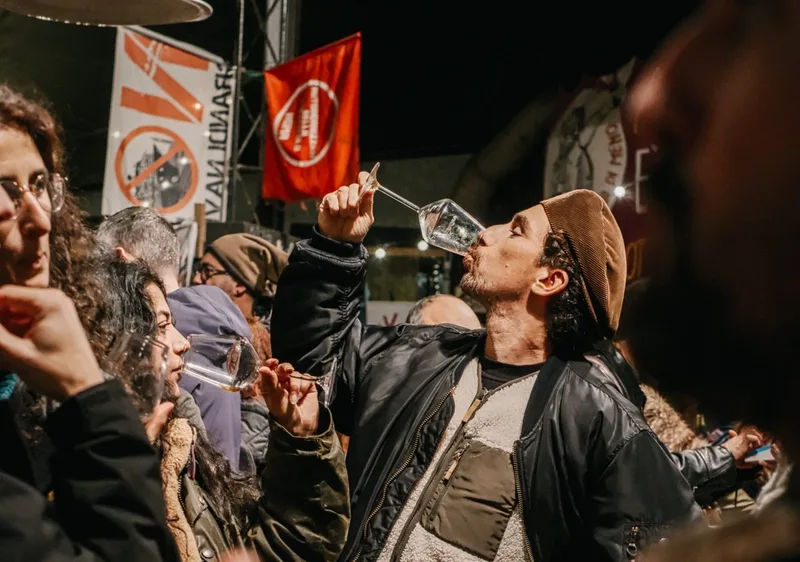 Vinàmico Festival