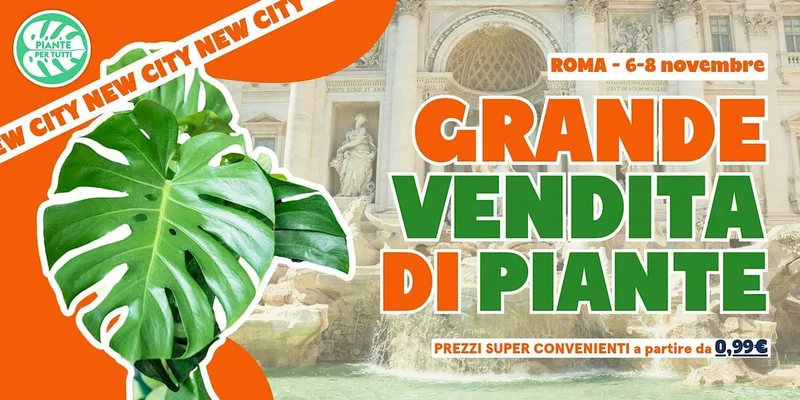 Grande Vendita Di  Piante - Roma