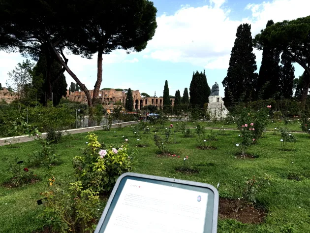 Rome's Rose Garden – Autumn opening 2026