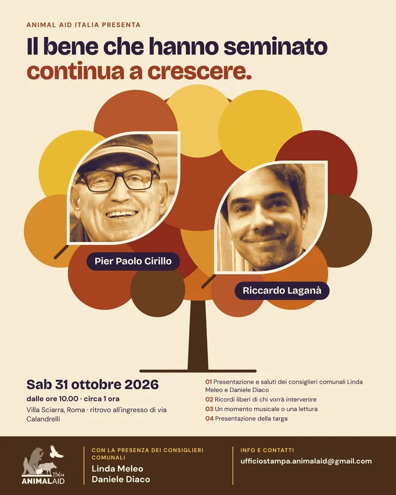 Memorie