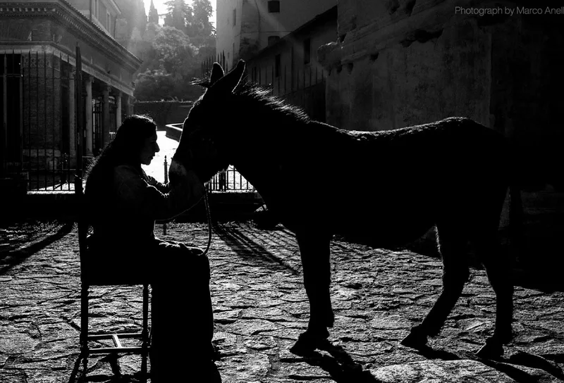 Marina Abramović - "Confession"