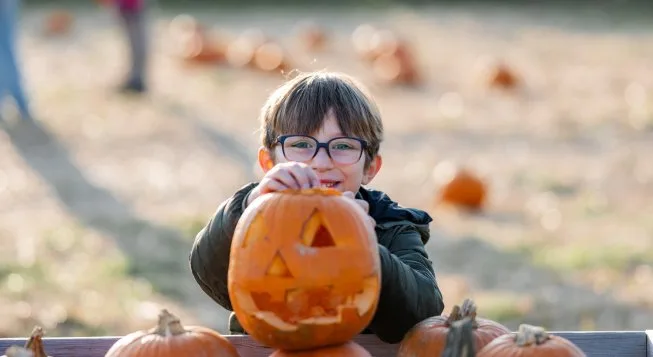 Halloween 2026 al campo delle zucche di Agricola delle Meraviglie: attività, passeggiate, foto e laboratori