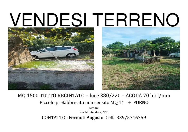 vendita terreno agricolo