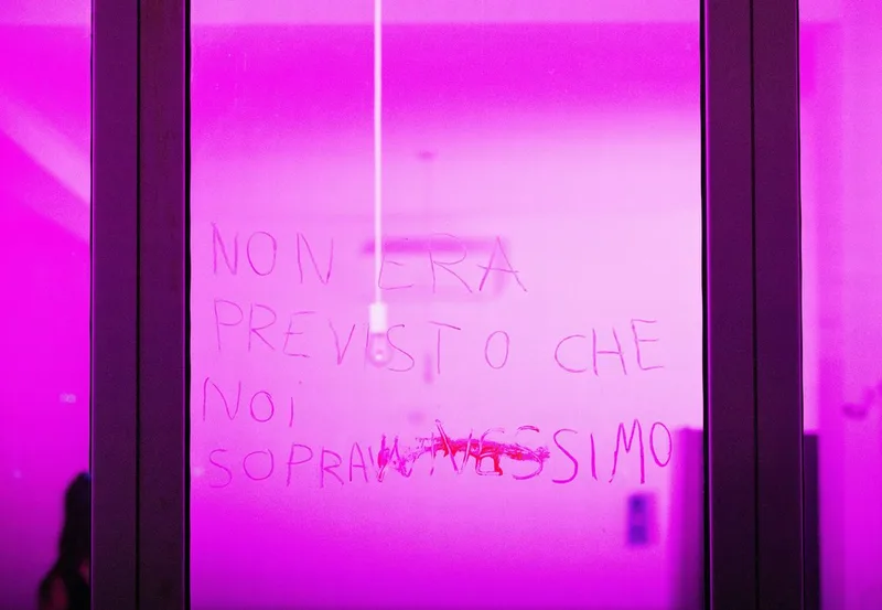 NON ERA PREVISTO CHE NOI SOPRAVVIVESSIMO